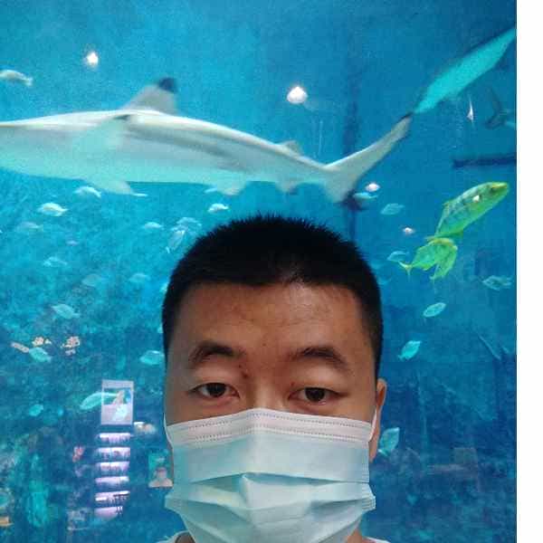 河北34岁单身帅哥真诚找对象-包头征婚相亲网